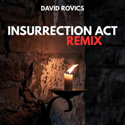 Insurrection Act Remix